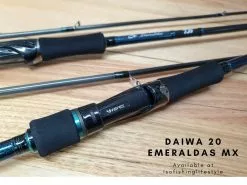 Daiwa 2020 Emeraldas MX Eging Rod -Cheap Jigging Rods Store 3 1fcd4749 7c65 4365 ad94 af76c77cb721