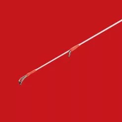 Shimano 2019 Sephia SS Eging Rod -Cheap Jigging Rods Store 63434 feature1