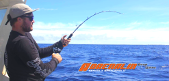 Ocean's Legacy Adrenalin Deep Game Jigging Rod (Spin) -Cheap Jigging Rods Store Aderlia