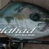 2019 Yamaga Blanks Galahad 526S