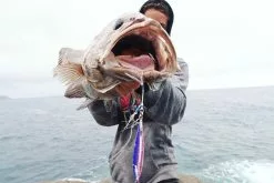 Ocean's Legacy Oceans Legacy Hybrid Contact Jig -Cheap Jigging Rods Store IMG 9479