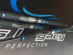 Ocean's Legacy Ocean’s Legacy Elementus Overhead -Cheap Jigging Rods Store IMG 9739 scaled e1585580792227