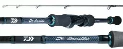 Daiwa 2020 Emeraldas MX Eging Rod