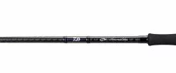 Daiwa 2020 Emeraldas V -Cheap Jigging Rods Store daiwa2020emeraldasV3