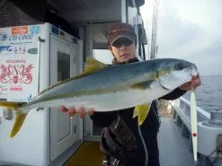 MC Works Real Fusion RF601LR (Special Model) -Cheap Jigging Rods Store real fusion 601LR SP thumbnail