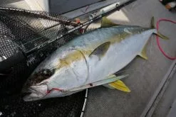 MC Works Real Fusion RF673LR (Standard Model)